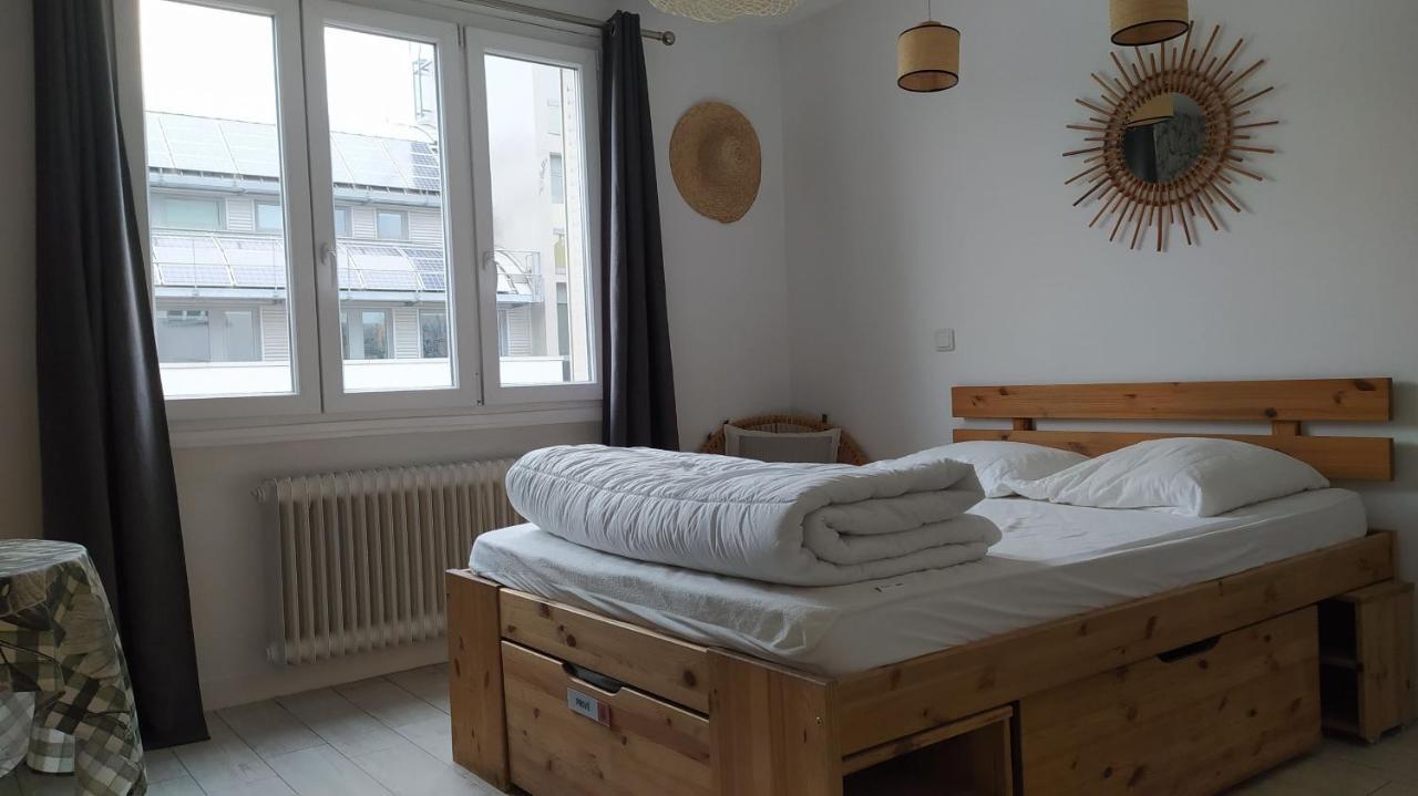 Le "Wood" Apartment Annecy Bagian luar foto